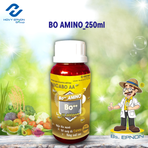 BO-AMINO-250ML