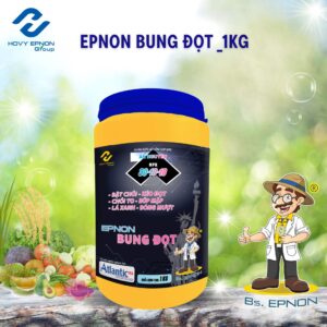 EPNON-BUNG-DOT-1KG