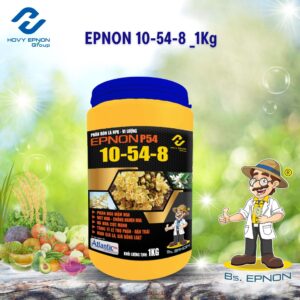 EPNON 10-54-8 _1Kg