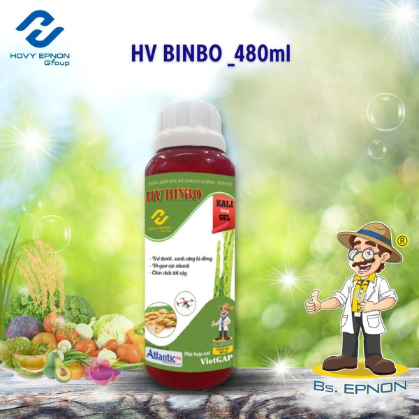 HV-BINBO-480ml