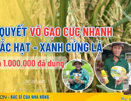 Sfarm.vn 02 03