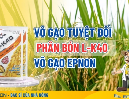 Nhung Khu Vuon Triu Qua Trieu Nguoi Me Tren San Thuong