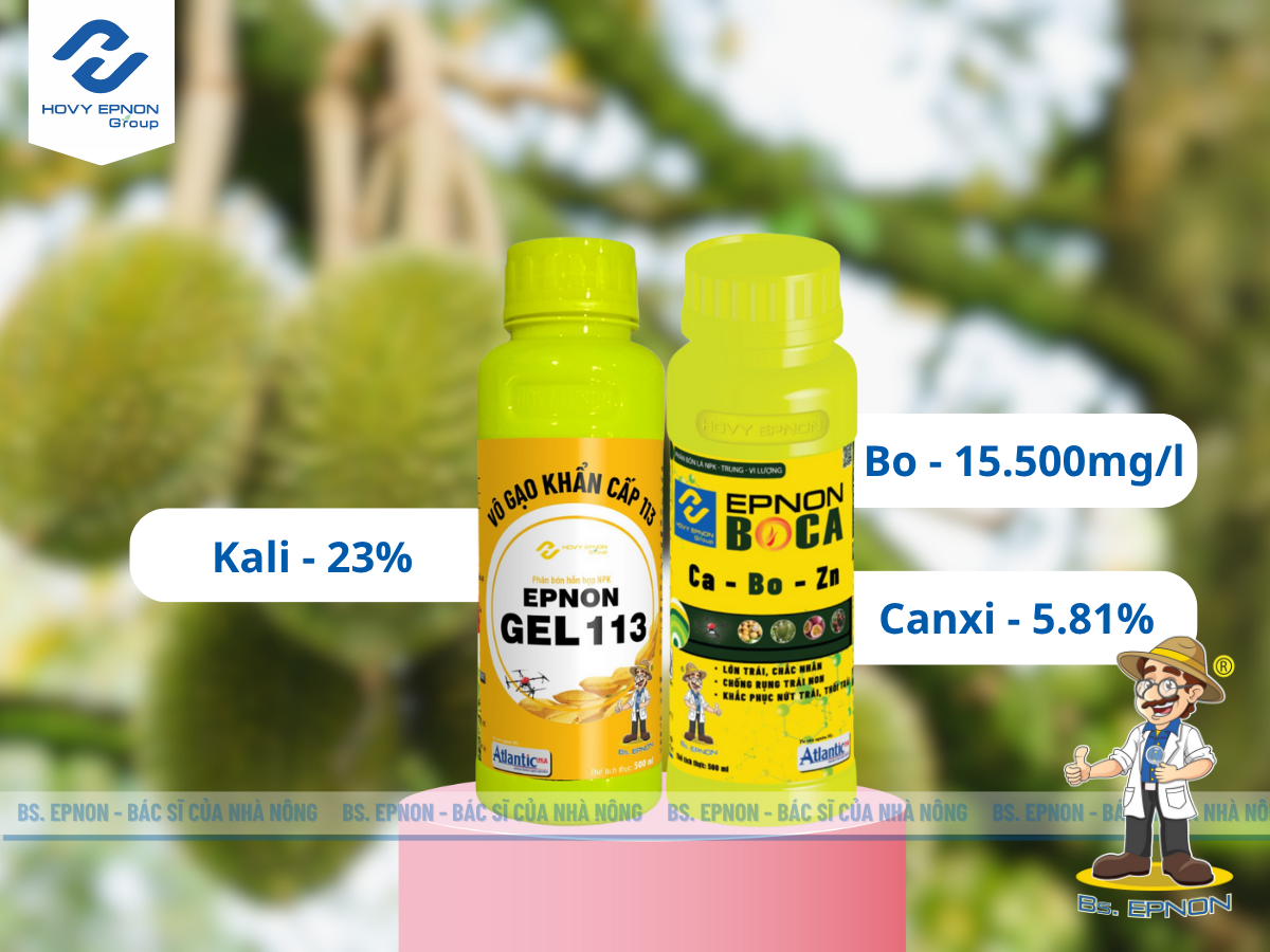 Kỹ thuật giữ trái và nuôi trái non