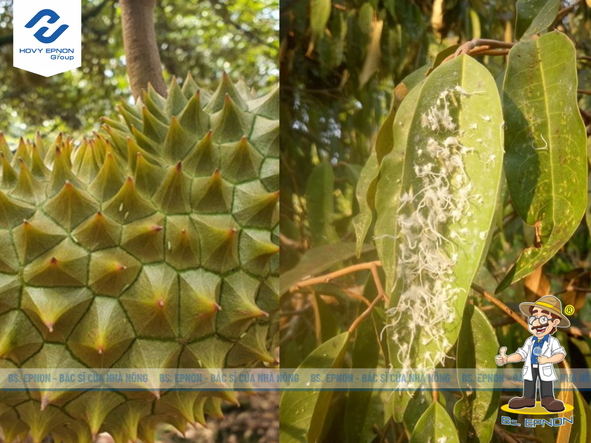 xử lý sâu bệnh