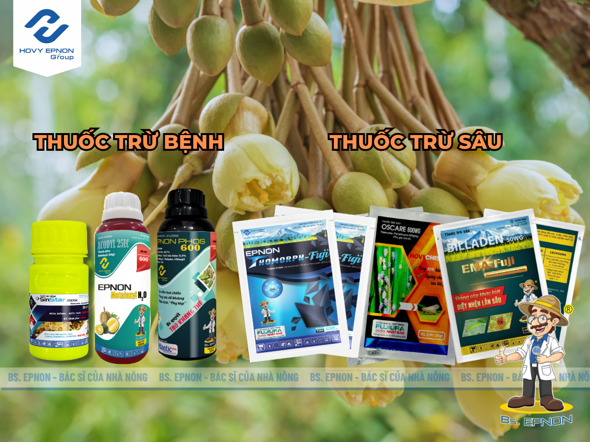Phun thuốc sâu bệnh